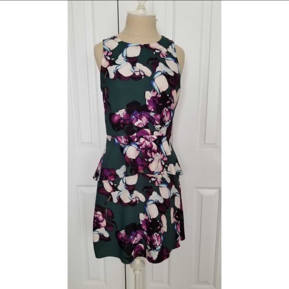 NWT Banana Republic Peplum Floral Dress size 4